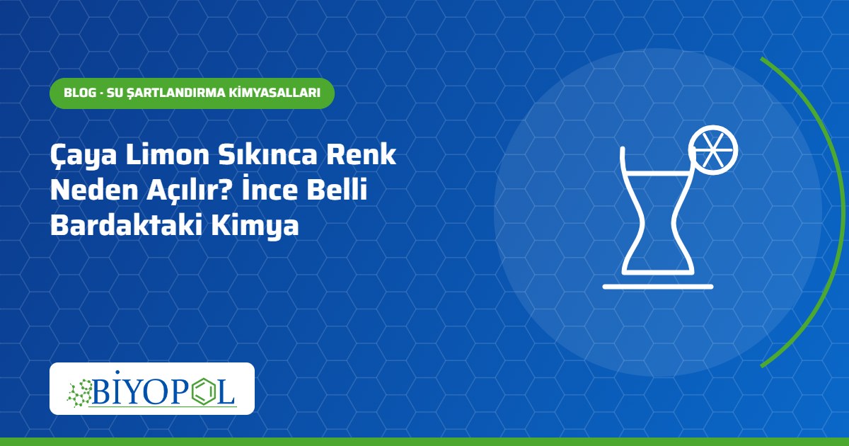 Çaya Limon Sıkınca Renk Neden Açılır? İnce Belli Bardaktaki Kimya