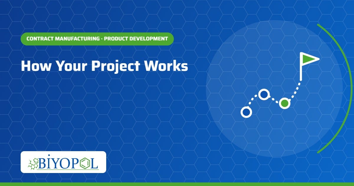 How Your Project Works
